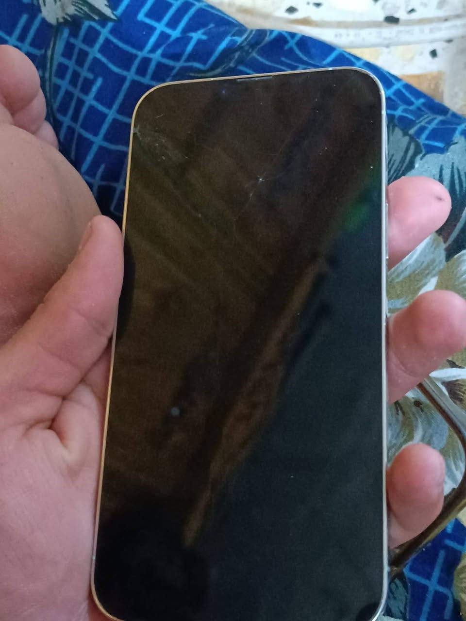 السلام عليكم
ايفون 13برو ماكس
ذ256
ب85
600 بي مجال يرهم مراوس بفرق


**إذا كنت صاحب هذا الإعلان وتريد حذفه لأي سبب، رجاءا أرسل رسالة إلى الدعم الفني**