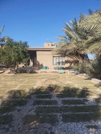 دار هيكل • ٢ دونم • المحمودية مجاور تغلب