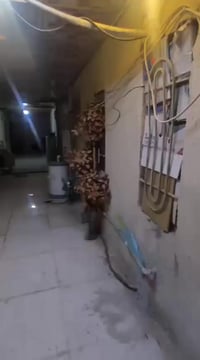 دور الضباط • شقة • غرفتين