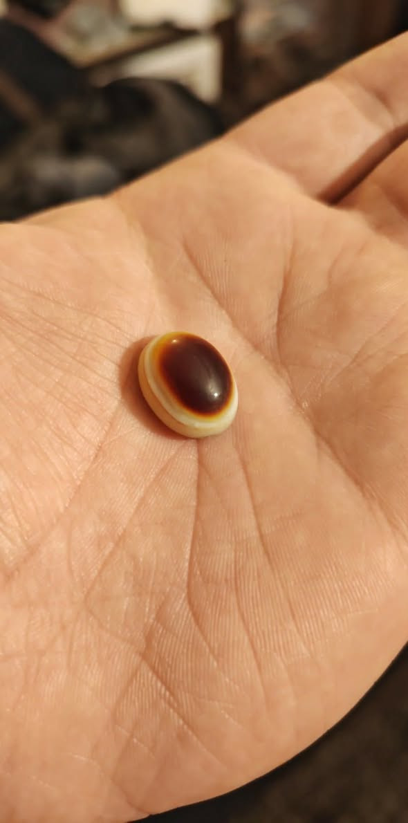 يماني بقري قديم بالعافية ع ياخذها قفل قفل 50 الرجاء بدون عملة لان تسوه أكثر  الف مكاني بغداد الكرادةة
توصيل محافظات ماعندي داخل  كرادة اوصلها عادي


**إذا كنت صاحب هذا الإعلان وتريد حذفه لأي سبب، رجاءا أرسل رسالة إلى الدعم الفني**