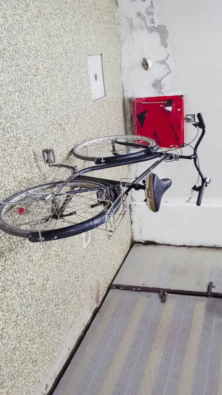 السلام وعليكم 
باسكل حجم 28 لبيع 
تايرات جديد
باسكل كلش نظيف 👍
الاستفسار على رقم 
***********
