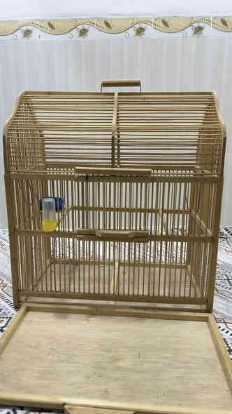 ئه م قه فه سه داره بو فروشتن هيچ كيشه يه كي نيه هيچ عه يبي نيه لوك لوكه ده ست كرد دروستكراوه كي حه زي لي بوو تيل بكا بو نرخ ***********
