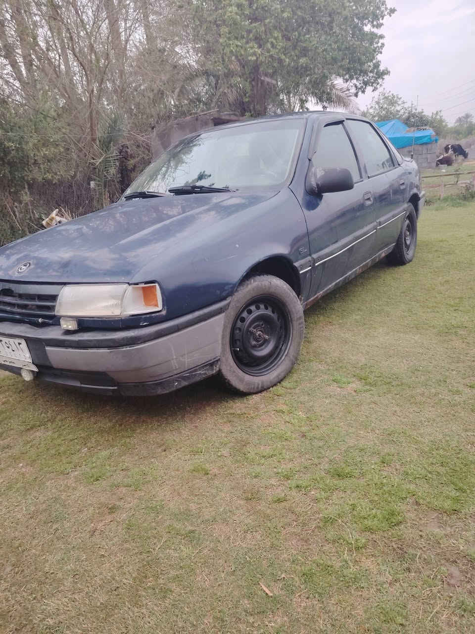 سلام عليكم فكتره للبيع محرك 1800مجفت جديد صدر خلفي امامي جديد باتري جديد درايم شفتات تخم تاير جديد اكسل كله بلادي كشر بلادي  موديل 1989رقم الانبار تحويل مباشر تريد وكاله  سعر 26 وبيها مجال 
***********
***********
