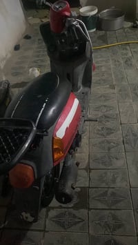 ماكس بوليسي • رباعي • زنون