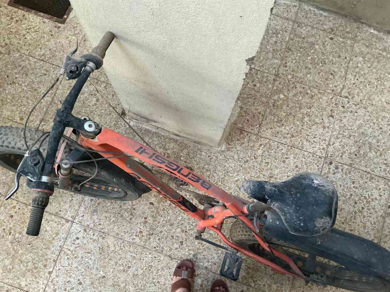 سلام عليكم للبيع بايسكل دبابة حجم 24 هيكل ألمنيوم مكينة ٥ وامامي ٣ خفيف ماركة BENGSHI جبلي بريكات دسك امامي وخلفي جاهزة فقط يحتاجلة تنضيف مكاني بغداد العامرية السعر 75


**إذا كنت صاحب هذا الإعلان وتريد حذفه لأي سبب، رجاءا أرسل رسالة إلى الدعم الفني**