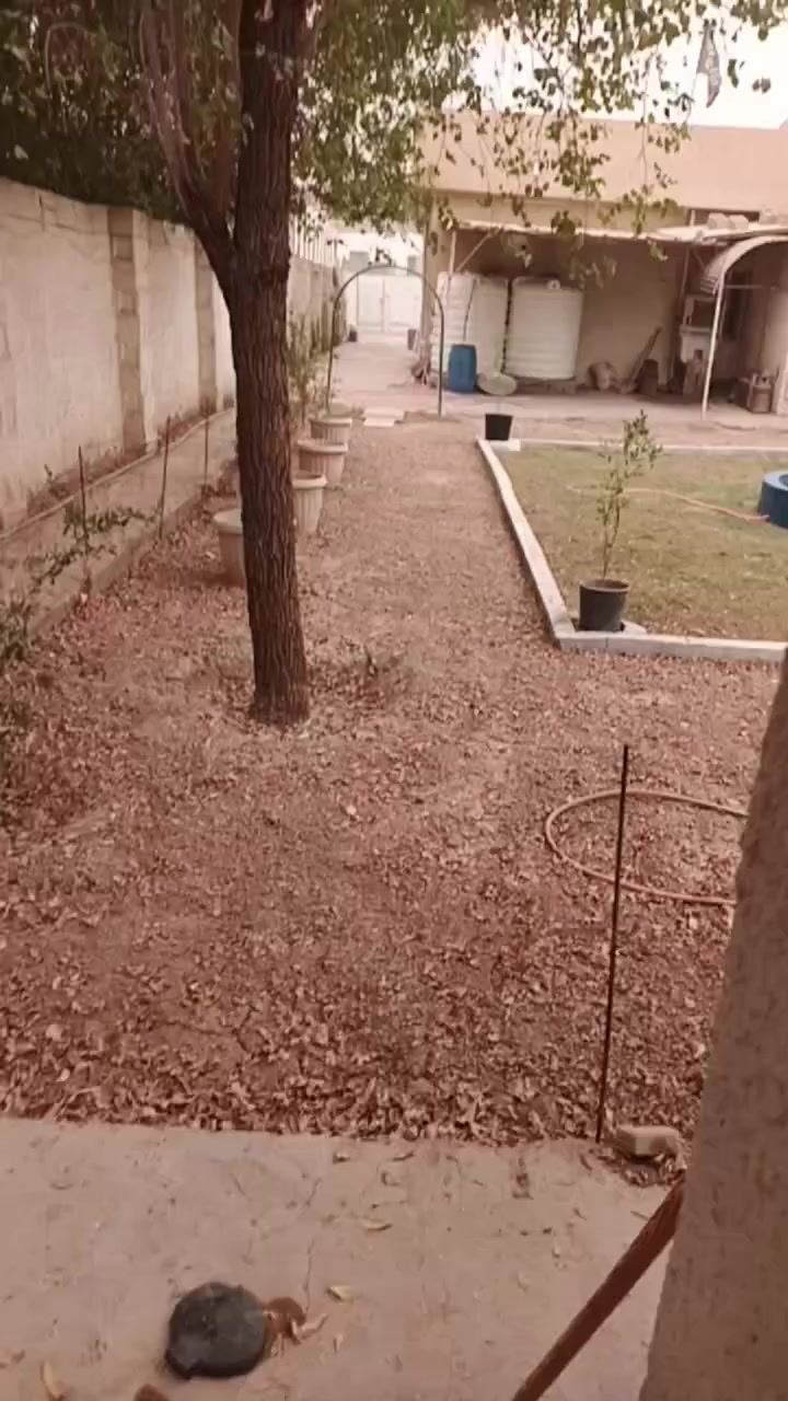 سلام عليكم من رخصة صاحب الكروب بيتين زراعي سند ٢٥ للبيع مساحة ٧٥٠ متر مثل مشوفون بل فيديوات عنوانة جسر ديالى العريفية شارع ابو مروان اعرض شارع ٦ امتار تبليط ومي وانترنيت ضوئي 
للتواصل والسعر والاستفسار اكثر 
رقم الاثير:***********
الرقم الاسيا: ***********
