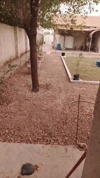 من رخصة صاحب الكروب بيتين زراعي سند ٢٥ للبيع مساحة ٧٥٠ متر مثل مشوفون ...