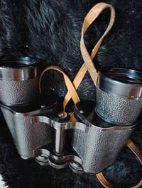 ناضور بريطاني أصلي • توصيل • شرط الفحص