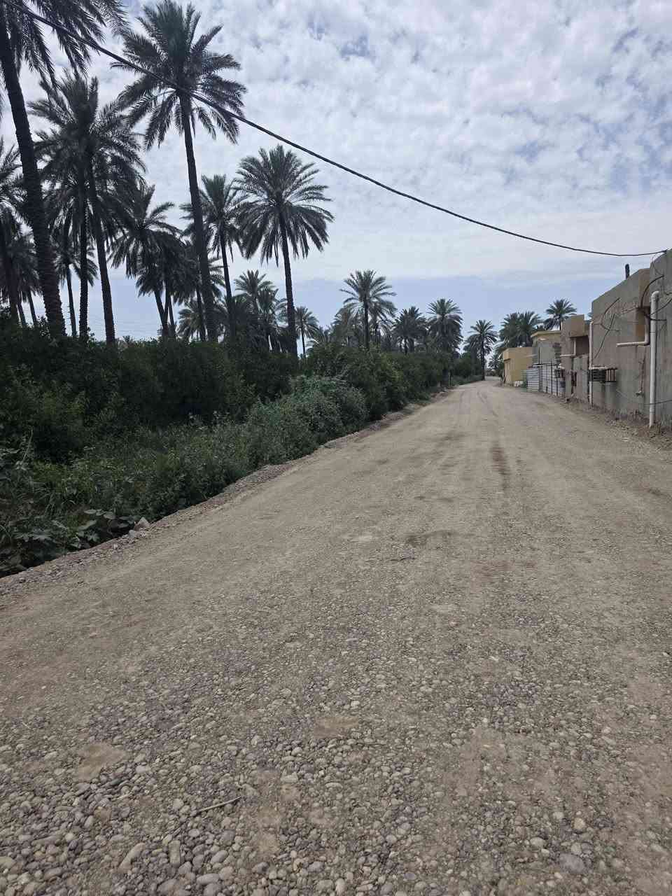السلام عليكم ورحمة الله وبركاته 🫱🏽‍🫲🏻
اراضي زراعيه 🏞 للبيع طابو صرف المساحات مختلفه دونم دونمين نصف دونم الواجهات مختلفه
حسب الامكانيه 🌺
الموقع مُمَيز جداً ‼️
العنوان: بغداد /شاطئ التاجي /قُرب جسر الذراع 
للاستفسار الاتصال على الارقام الاتيه 
كورك: ***********📞
أسيا: ***********📞
#مكتب_ديرتنا_للعقار🏢
#بإدارة_أحمد_أبومصطفى 
تواصلو معنا وسنكون بخدمتكُم🌹
