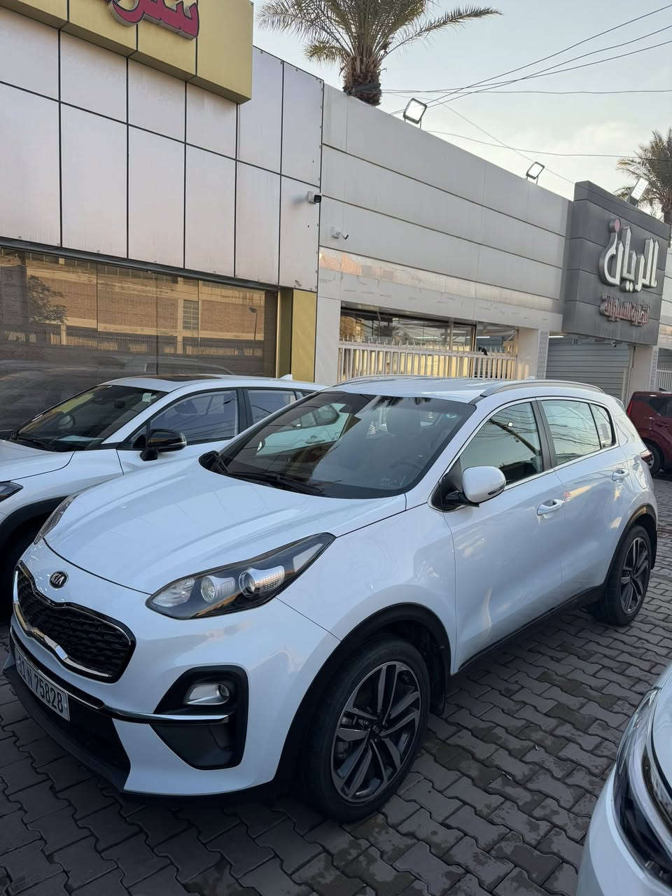 السلام عليكم كيا سبورتج موديل 2021 خليجي رقم بغداد بأسمي تحويل مباشر سيارة مكفوله من الصبغ و البارد 
مكان السيارة بغداد 
سعرها ((207)) وبيها مجال للشراي 
محرك: 2000 دوش 
ماشيه 72 الف كيلو فقط 
مواصفات 
1_شاشه 
2_كامره خلفية 
3_شاشه اعطال 
4_قطعتين تبريد 
5_اشاير بل مري 
6_حساس امامي خلفي وجانبي 
 7_مري شفط 
8_اشاير مري 
9_تحكم وضعيات قيادة 
10_ويل كب بلاد
11_كشافات اماميه 
12_داخل لونين 
13-تحكم استيراً جهتياً 
14- ويل كروم حجم 18 
15- نفكيشن
16- يدات نيكل 
للاستفسار: *********** يوسف
