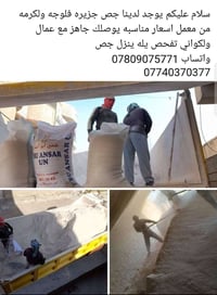 جص جزيره • فلوجه والكرمه • مع عمال