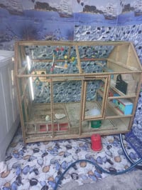 قفص طيور • بدون طيور • البصره حي الحسين