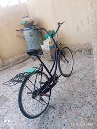 بطه ٢٦ • نضيف • حلو