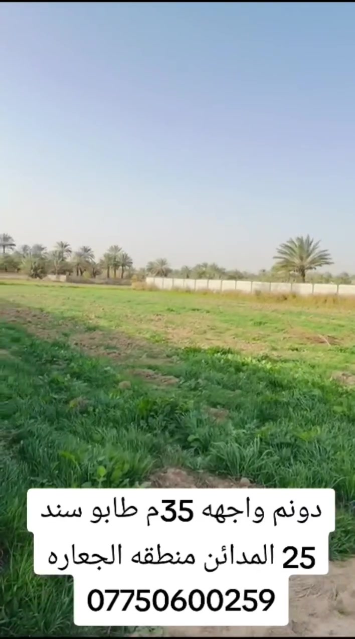 يا الله 
السلام عليكم 
دونم للبيع طابو سند 25 العنوان بغداد المدائن منطقه الجعاره يبعد عن نهر دجلة 400م واجهته 35متر موقع مزرعه الاستفسار الاتصال ***********
