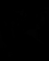 السلام عليكم دراجهR9نضيفه مكفوله كفاله عامه مديل2025صارله25يوم من ماخذه من وكاله سرعته99عنوان قبله حي الجامعه السعر450وبيه مجال الاستفسار على رقم واتساب***********
