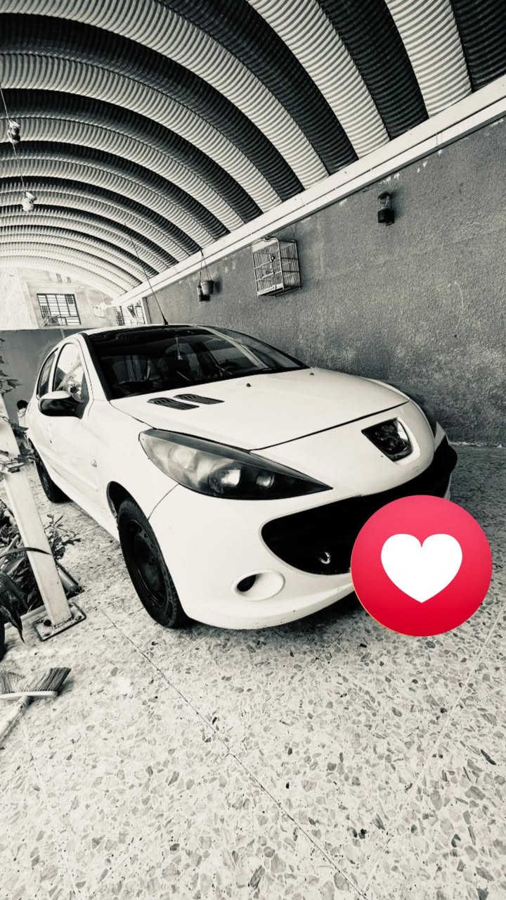 السلام عليكم اخوان عند بيجو فرنسي 206موديل 2012السياره رقمهه بغداد السياره بيهه شويه نواقص بصيطه محرك جديد وكير وكلج التصال ***********السعر 40وبيهه مجال جوه السوك سعرهه
