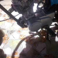 موديل ٢٢ • بدون اوراق • النصر