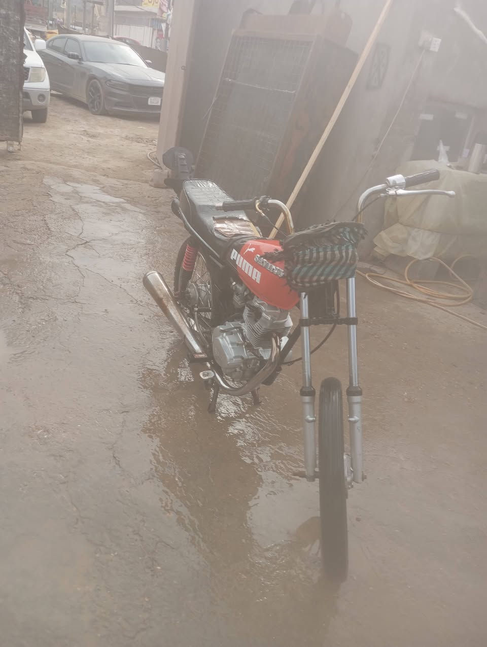 للبيع 22 بلادي كلك *********** ما متواجد على الفيس
