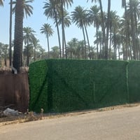 ربع دونم للبيع الراشديه نهاية البودالي ٨×٧٩  السعر ٧٥ وبي مجال بسيط 07...