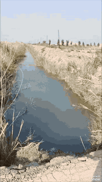 5 دوانم للبيع على المشروع الاراضي مباشرتا
العنوان تاجي ذراع دجله تباع دونم فما فوق 
صايره على شارع 10 مترات وواجهية الدونم 
الواحد 50×50 مربع منطقة امان وتكدر تعيش برفاهيه
وترفيه سعر الدونم الواحد 47 مليون جنس الارض طابو
سند 25 فتح بيان بسم المشتري اي تواصل او استفسار
على رقمي متوفر بي واتساب *********** واتساب بمطقه شيخ عامر
