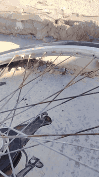 البيع السعر قيم وخذ مال حاويه صليات شراي تعال خاص  مكان الجربوعيه ثانيه


**إذا كنت صاحب هذا الإعلان وتريد حذفه لأي سبب، رجاءا أرسل رسالة إلى الدعم الفني**