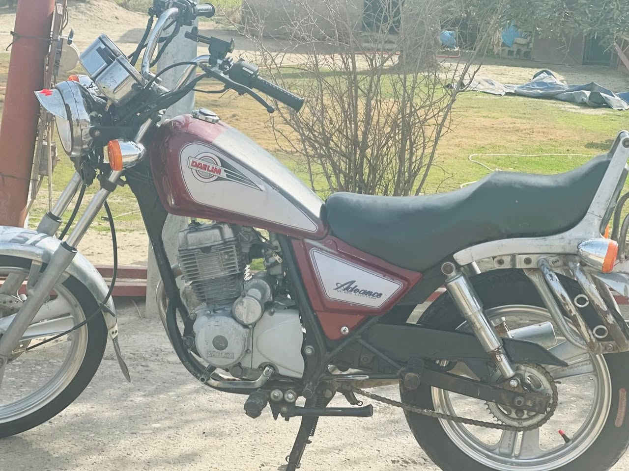 دارجه ديلم ابتر  للبيع رقم ***********
