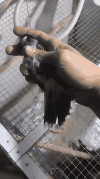 ئەم بلبلە بۆ فرۆشتن شتێکی زۆر جوانە 20هەزار***********
