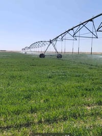 ٣٠٠ دونم • كربلاء الطريق الستراتيجي • بئر مضمون