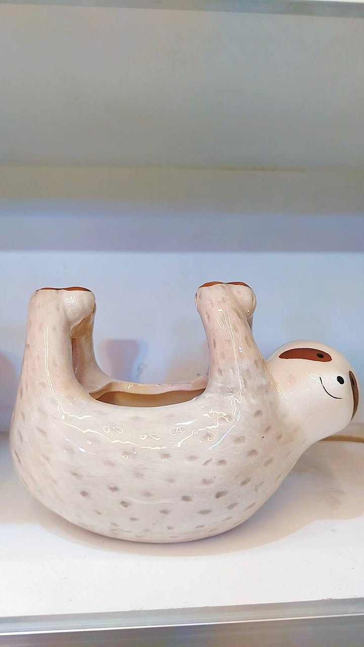 انواع التحفيات
العنوان الكوت شارع الأطباء فرع صيدلية بيروت اكسسوارات النبأ #واتساب*********** #هاتف_المحل*********** خدمة توصيل لكافة انحاء العراق 🇮🇶 وبأسعار تنافسية 🫰 وباحدث الموديلات
