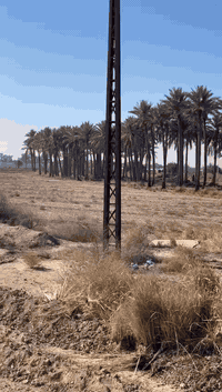 بستان للبيع سند 25 مكان رضوانيه قرب لواء 55 على سريع الدولي للاتصال على صاحب الأرض ***********
***********
