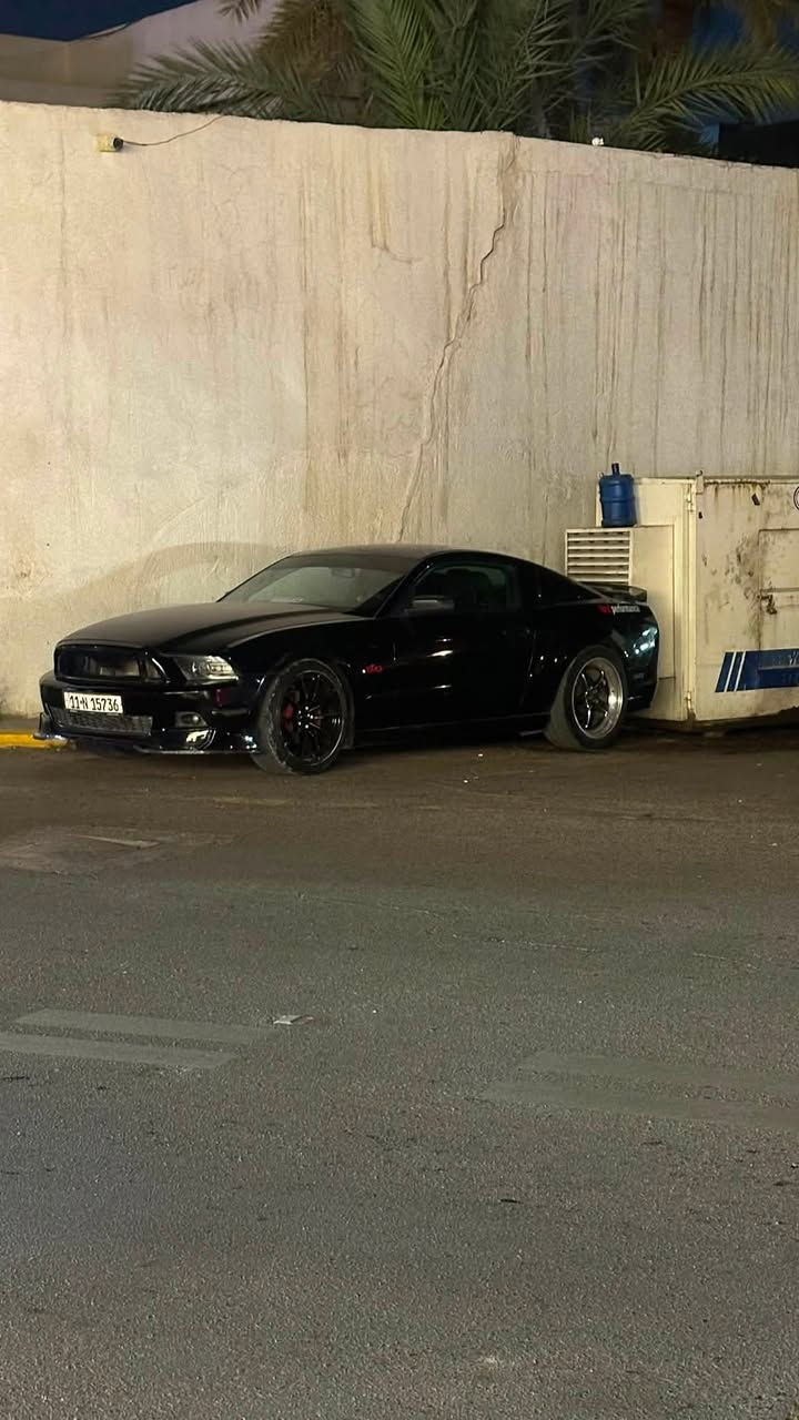 السلام عليكم
موستانك 2013 

محرك v6 3700

ماشية 80 

بجم كبس 

كشنات ريكارو 

السيارة بحالة البلاد 

مسويلهة ادامة وجاهزة 

كير ومكينه وكهربائيات كفاله 

ضررهة جاملغ خلفي ايسر بارد وقبق جنطه مبدل 

رجاءا لتقارنوهة بالمهجومات والمصبغات 

***********

