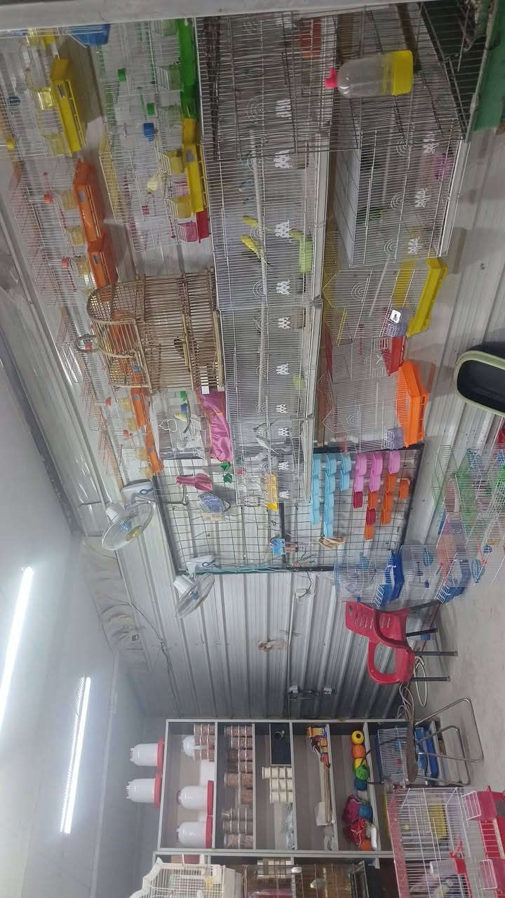 محل للبيع كامل مكمل انطيك مفتاح  كلشي بي حته منضومه كامرات ونت 
يصير ملك الك بالكامل فقط تدفع اجار مال ارض 350
عنوانه حي جهاد شارع العام  مقابل شقق حي سلام  مجاور مشتل عابد فلور
***********
