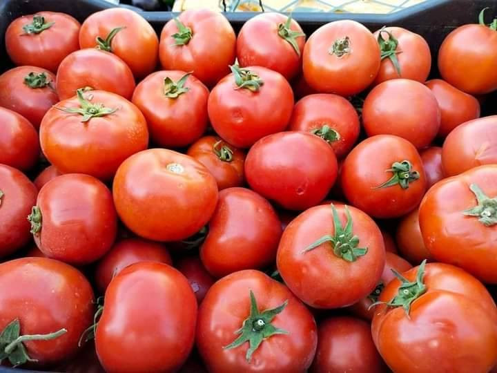 السلام عليكم توجد دايات طماطم ناعمه و وسطانية هيتاوية جمله  ٧٥٠ ومفرد ب ١٠٠٠ السندانه ت (***********) العنوان هيت يوجد توصيل داخل هيت فقط
