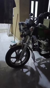 ستوتا • نضيفة • اوراق كامله