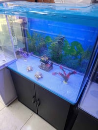 ١٥٠ • تجهيز كامل