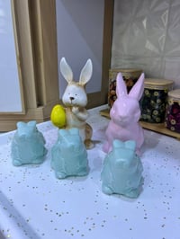 ارانب • اشكال الوان • توصيل كل المحافظات