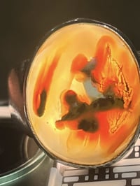 محابس للبيع مصورات واضحه الرقم 07873976213