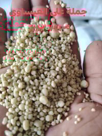 داب أبو الكفين • جملة ومفرد • بابل الكفل