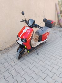 دراجة شحن • موديل 2026 • ست بطاريات