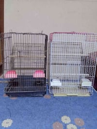 الزبير • أقفاص ببغاء • قطعتين