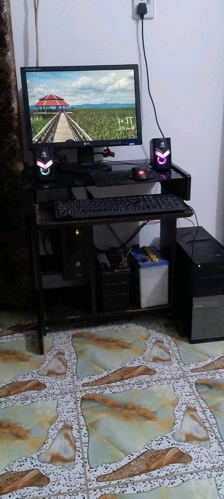 الشعلة السلاميات