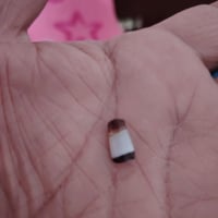 صغيرة • اصيلة • جزعة يمانية