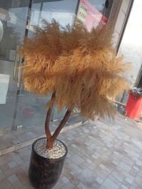 عشب بامباس • يدوي • ١٨٠سم