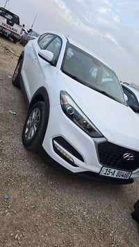 توسان • ٢٠١٨ • الرمادي