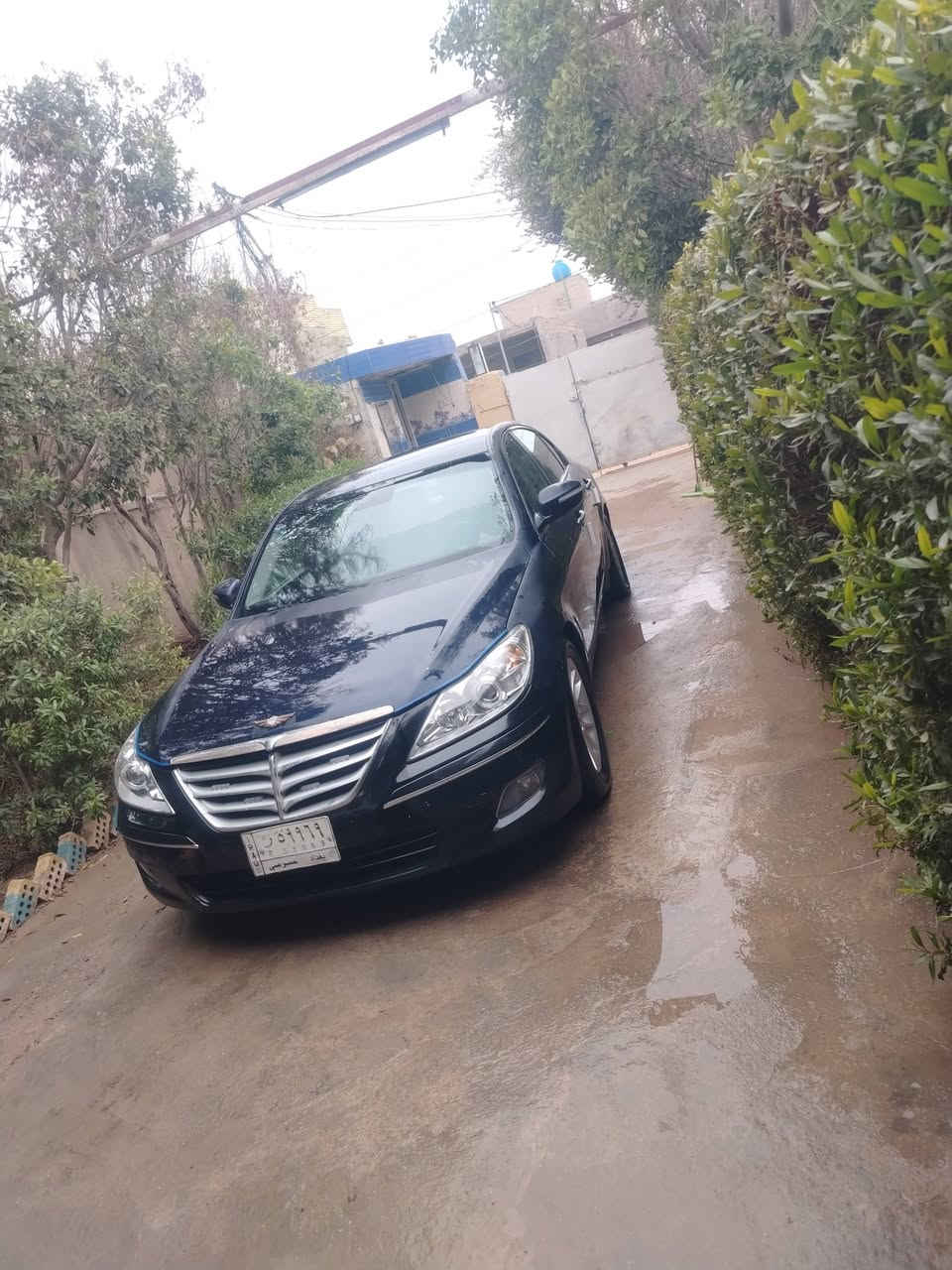 للبيع او مراوس جنيسز موديل ٢٠١٠ رقم بغداد بسمي سنويه لل ٢٨ مكينه كير كفاله تبريد شغال منضومه جديده مبدلهه تخم تاير جديد حداديه صدر امامي جديد مبدله تحكمات جهتين شاشه كشنات جلد كهرباء تدفئه كشنات تبريد ٣ قطع منضومه سماعات كله جديد لايتات عالي ناصي زينون مكينه ٦ سلندر ٣٨٠٠ المرغوب السياره بيهه جاملغ خلفي وبيهه اربع اصابع بل باب مال صدر جاهزه عوزهه فقط صبغ لان صبغهه جارد مكاني بغداد الدوره رقمي *********** السعر (100) وبيهه مجال
