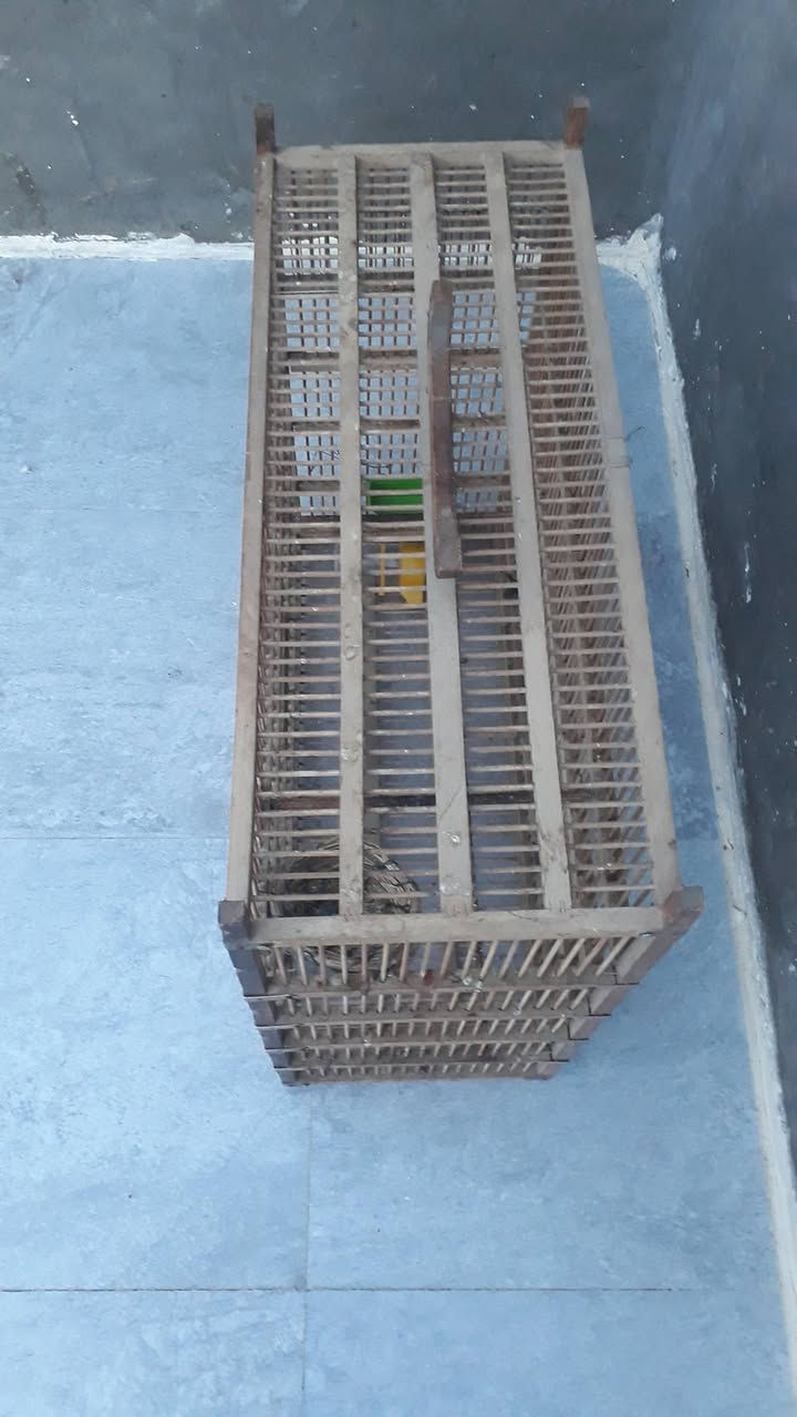 السعر 40

واتساب***********📲

ميسان
