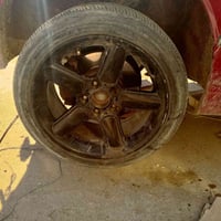 ويل 17 • ايسي • شنايزر