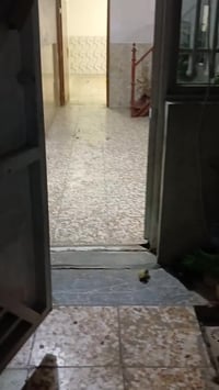 بيت للايجار السعر ٤٠٠  ٠٧٧٢١٠٦٨٥٣٥ للتواصل