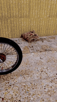 السلام عليكم دراجه البيع نامه كلهه ب25 دراجه اوراق سكنر سعر ب750 وبيه مجال قليل مكاني بالرميثه وهاذا رقمي ب***********
