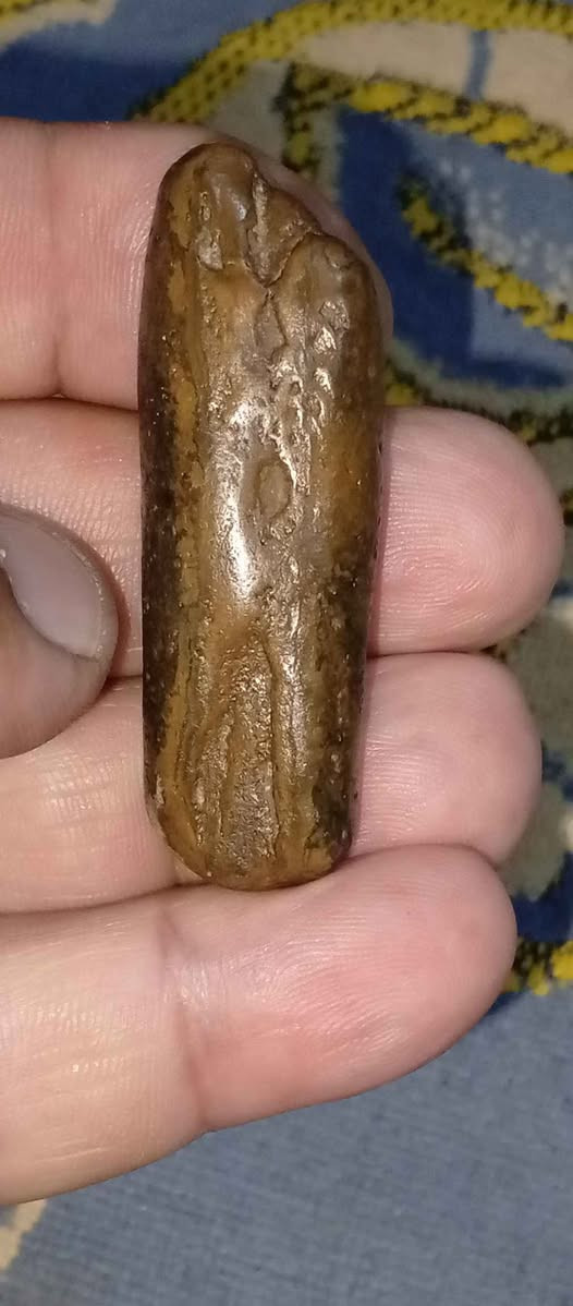 ‎حجر سلطاني‎ البصرة, العراق


**إذا كنت صاحب هذا الإعلان وتريد حذفه لأي سبب، رجاءا أرسل رسالة إلى الدعم الفني**